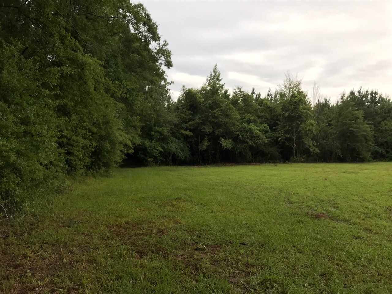 922 Trickham Bridge Road Brandon, MS 39042 - Photo 3 of 12 Photo 3