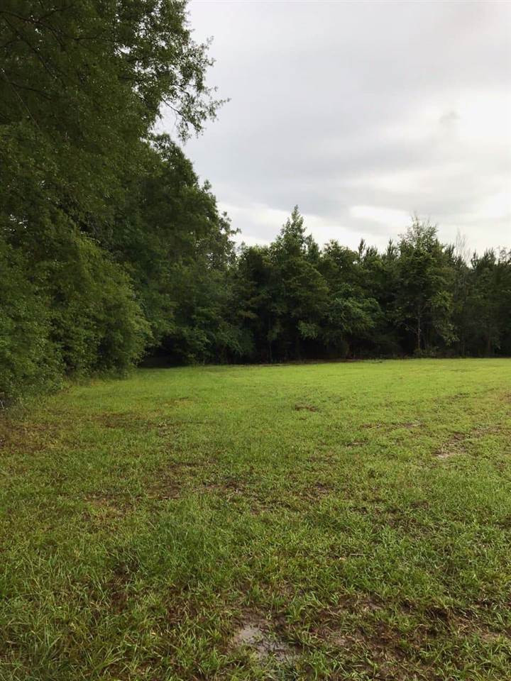 922 Trickham Bridge Road Brandon, MS 39042 - Photo 4 of 12 Photo 4