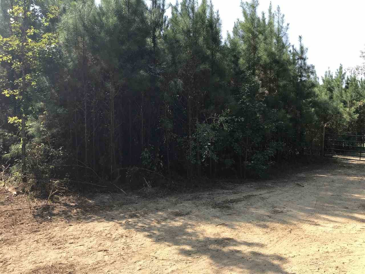 922 Trickham Bridge Road Brandon, MS 39042 - Photo 5 of 12 Photo 5