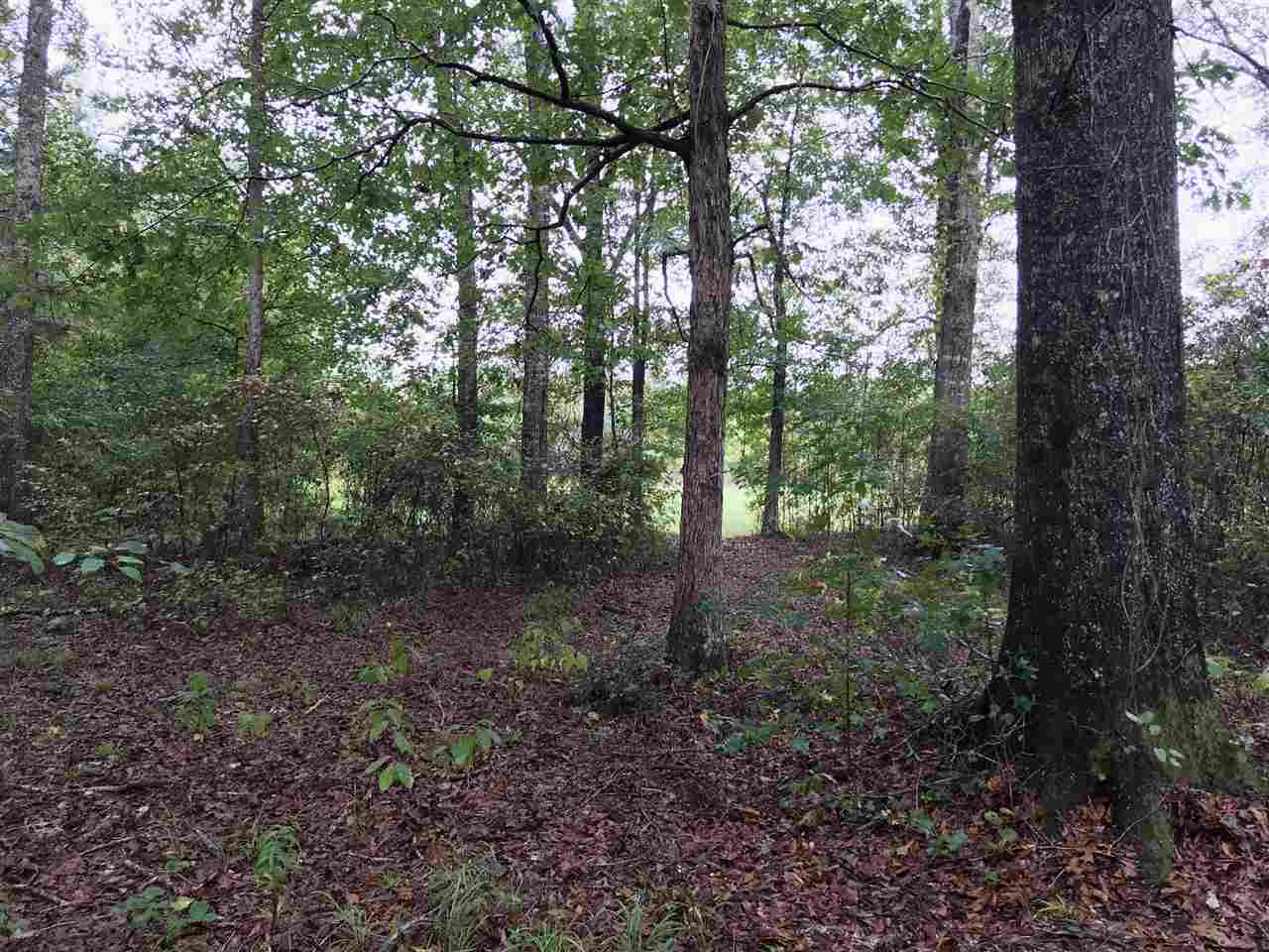 922 Trickham Bridge Road Brandon, MS 39042 - Photo 6 of 12 Photo 7