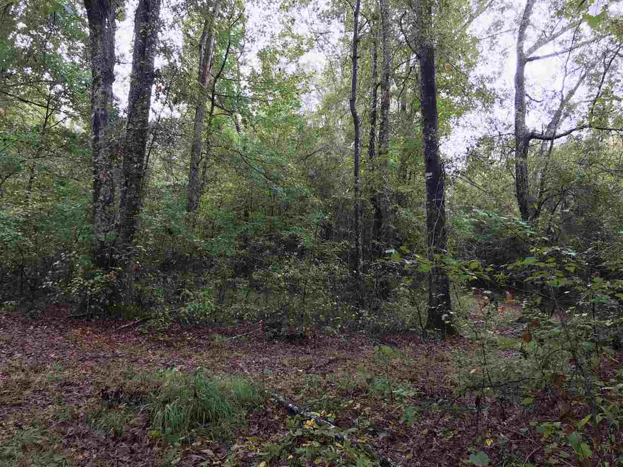 922 Trickham Bridge Road Brandon, MS 39042 - Photo 7 of 12 Photo 8