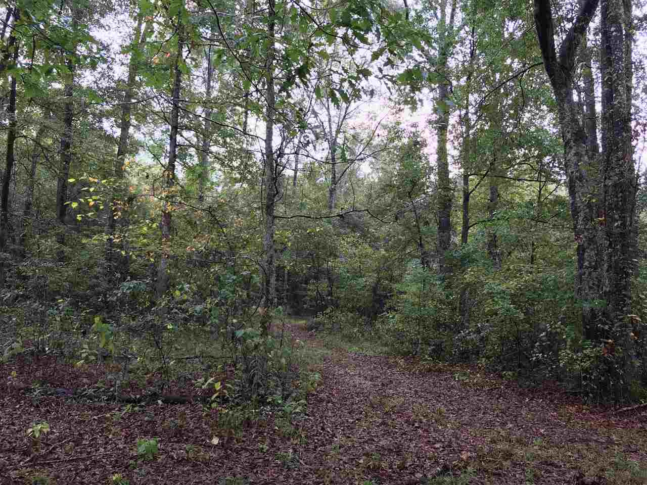 922 Trickham Bridge Road Brandon, MS 39042 - Photo 8 of 12 Photo 9