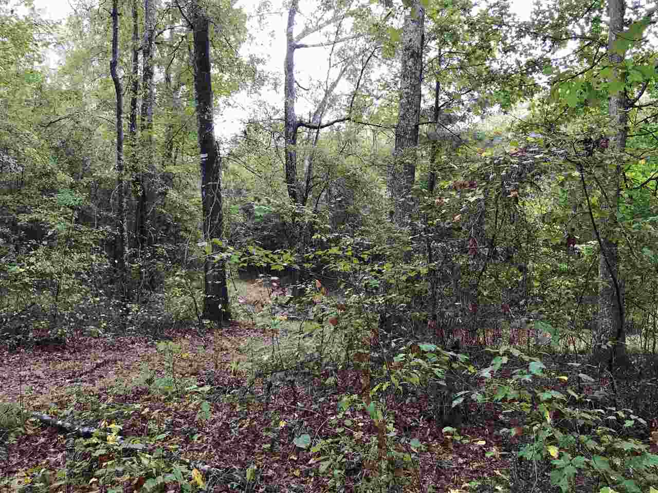 922 Trickham Bridge Road Brandon, MS 39042 - Photo 9 of 12 Photo 10