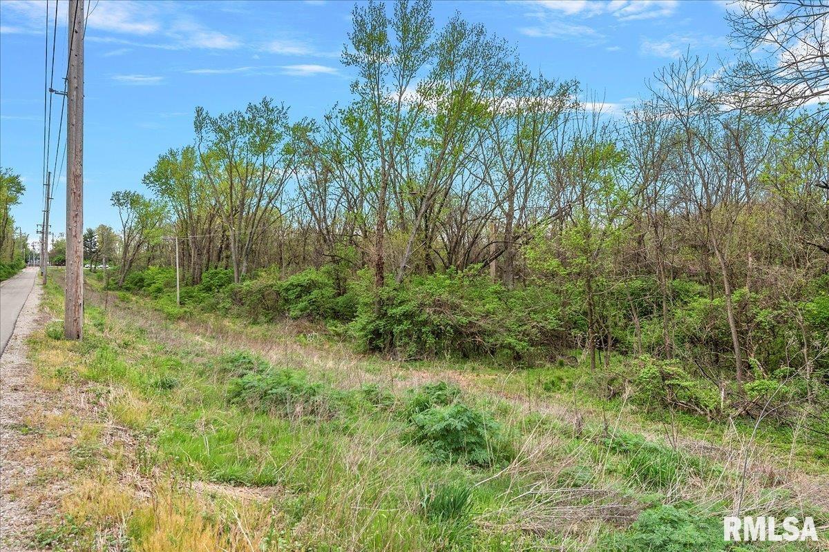 Bahr Road Sherman, IL 62684 - Photo 13 of 18 Gallery Image 13
