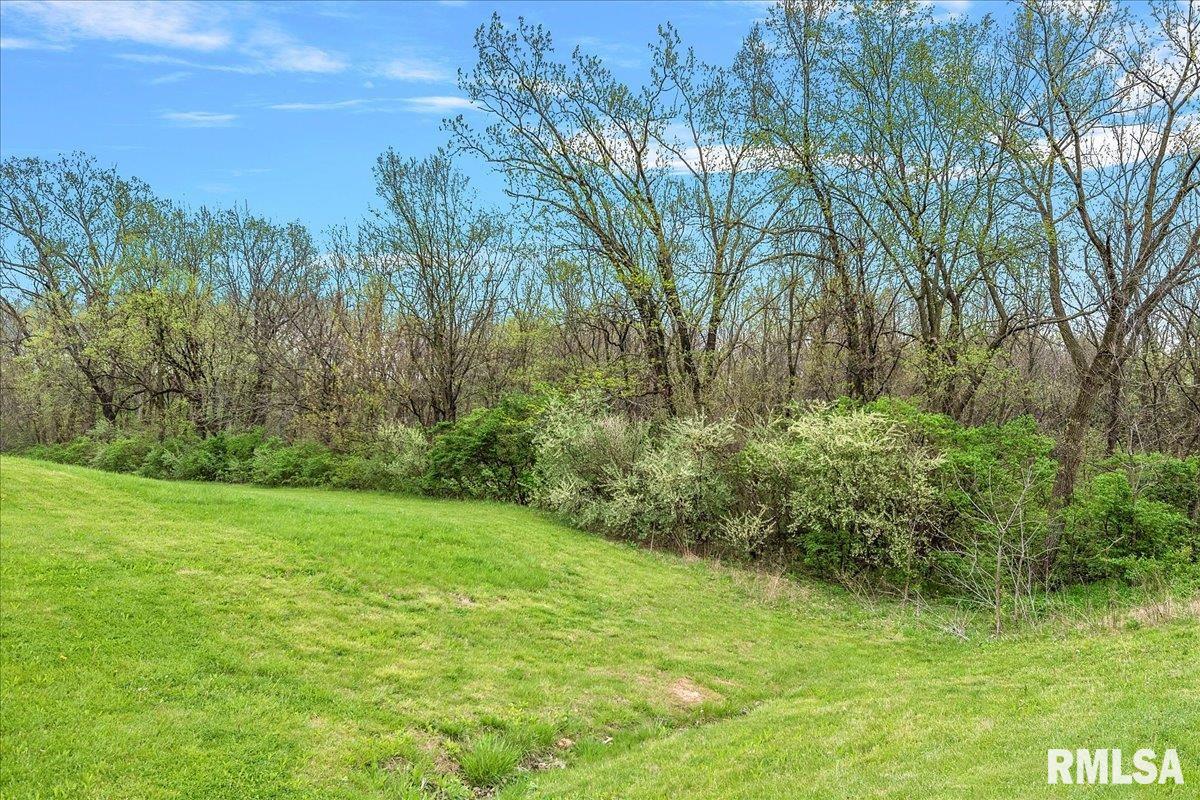 Bahr Road Sherman, IL 62684 - Photo 14 of 18 Gallery Image 14