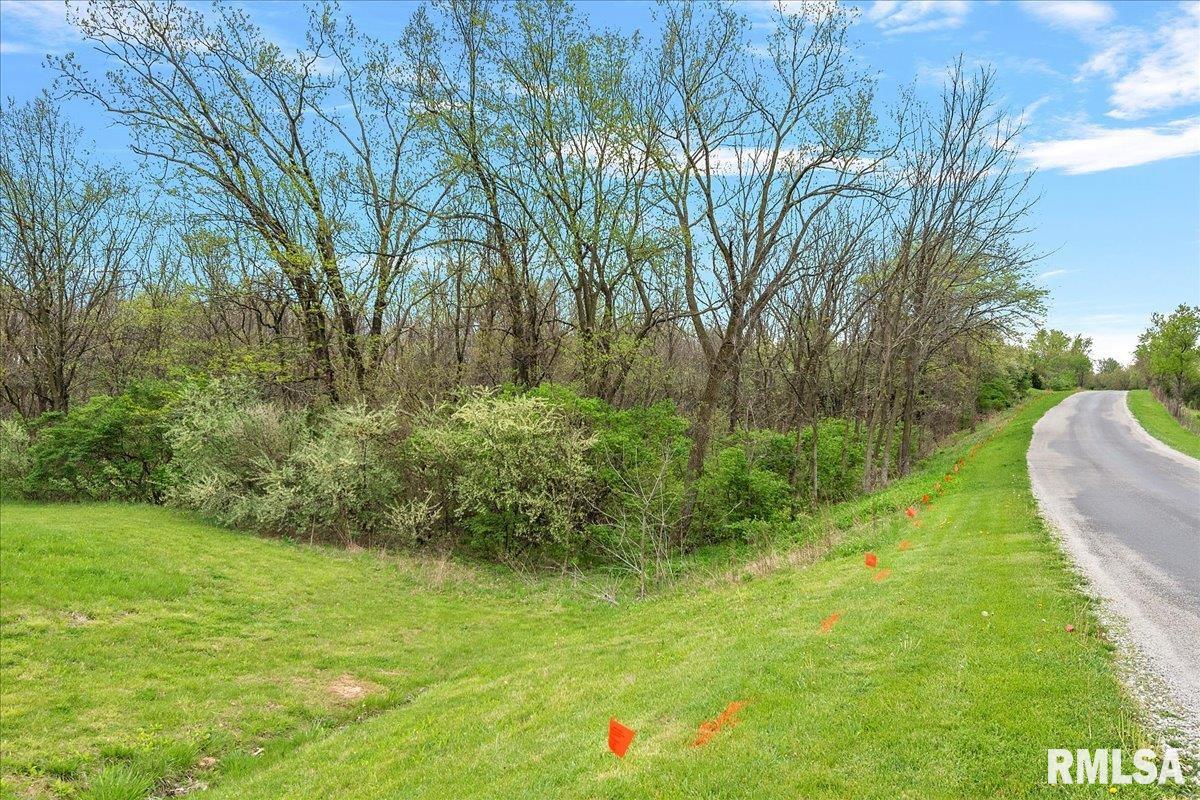 Bahr Road Sherman, IL 62684 - Photo 15 of 18 Gallery Image 15