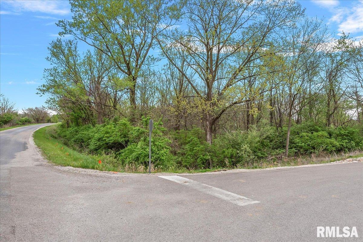 Bahr Road Sherman, IL 62684 - Photo 4 of 18 Gallery Image 4