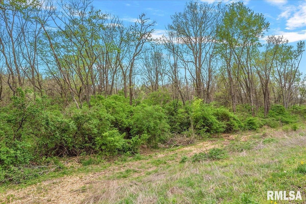 Bahr Road Sherman, IL 62684 - Photo 9 of 18 Gallery Image 9