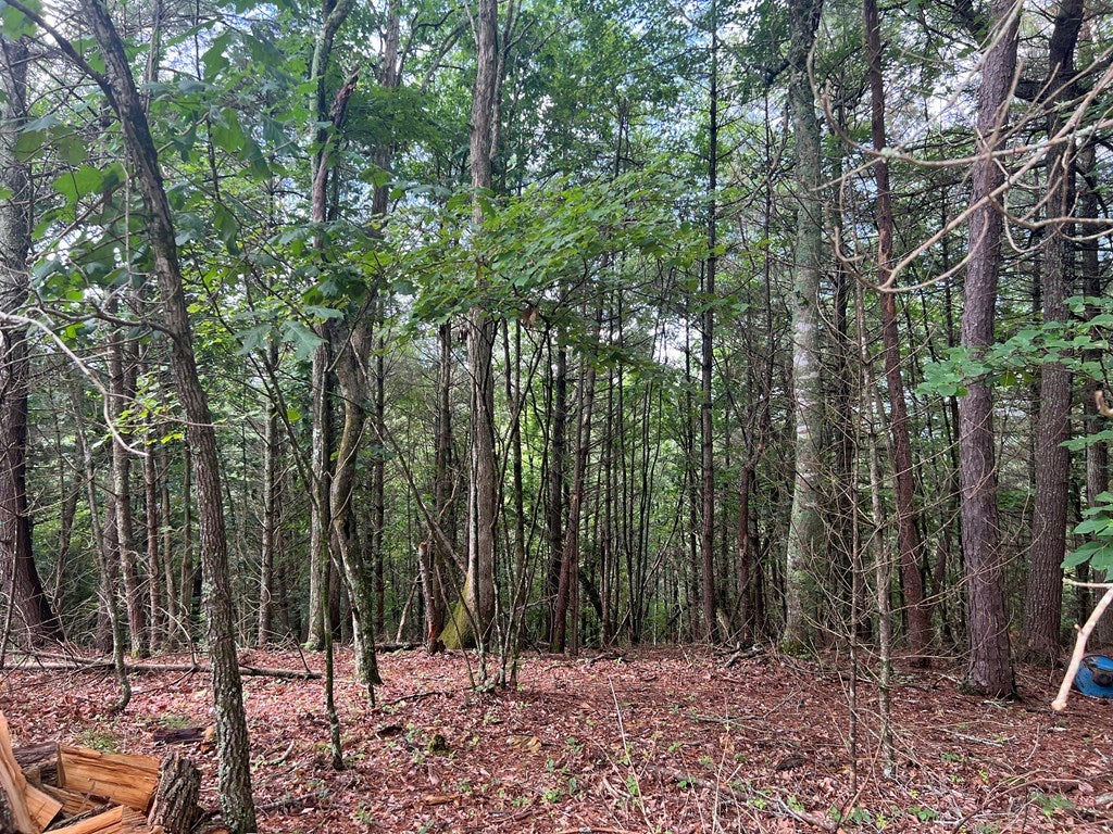 407 Grouse Ridge Road Max Meadows, VA 24360 - Photo 30 of 39 Gallery Image 30