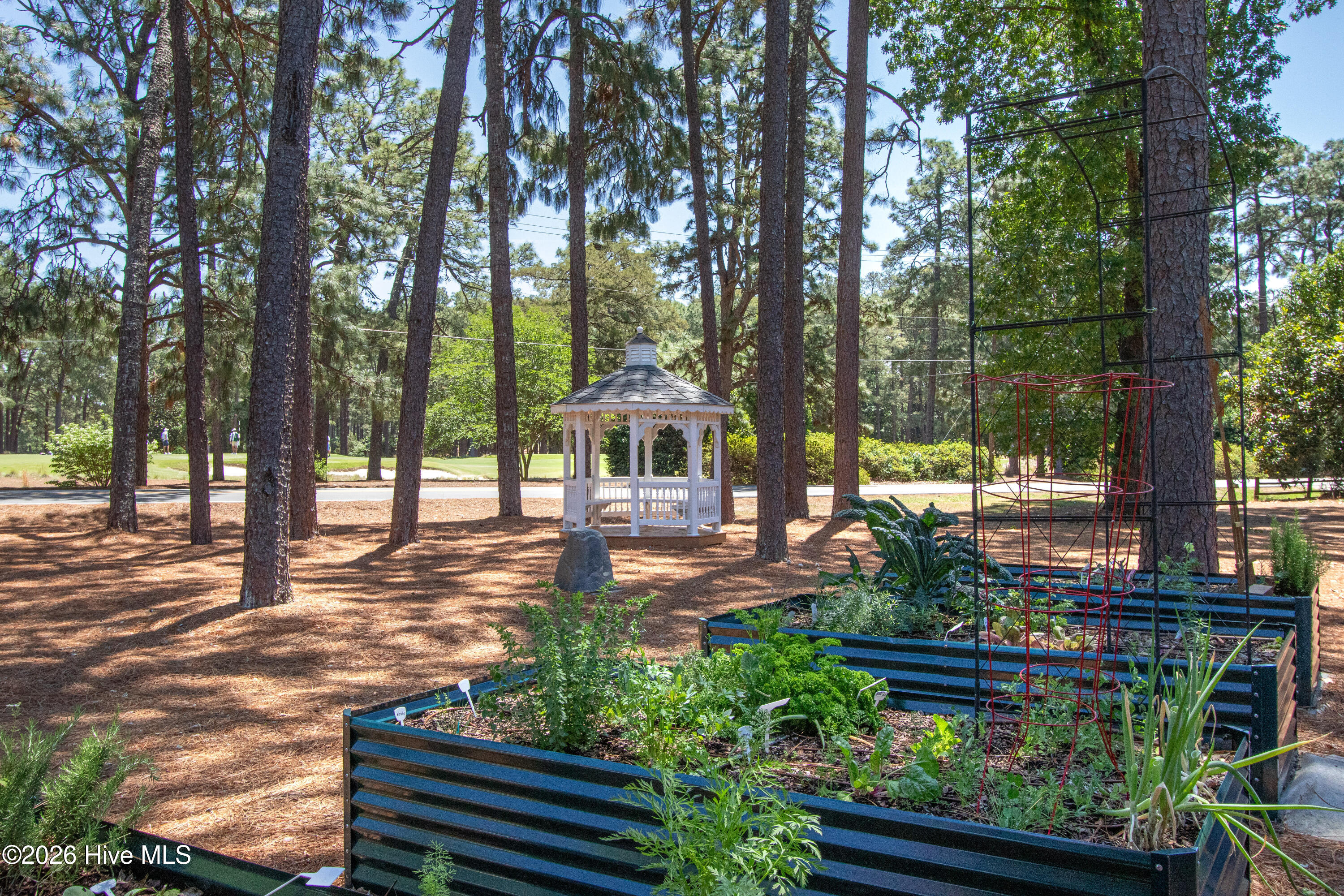 55 Palmetto Road Pinehurst, NC 28374 - Photo 51 of 56 GazeboGarden2