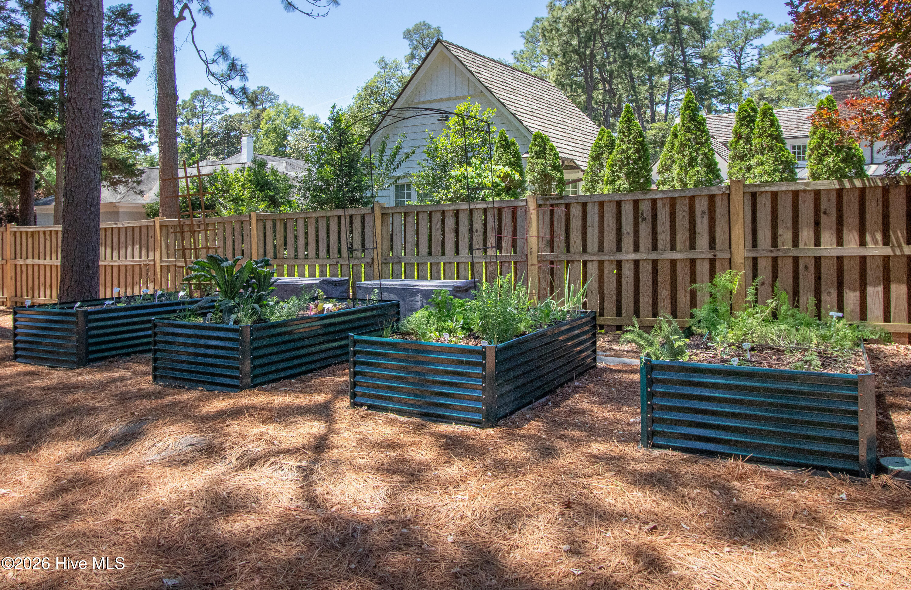 55 Palmetto Road Pinehurst, NC 28374 - Photo 52 of 56 Garden