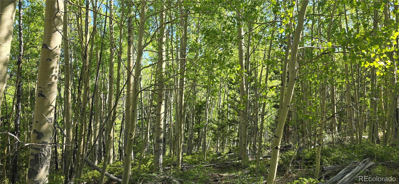 Lot 6708 Debbie Road Fort Garland, CO 81133 - Photo 1 of 28 Gallery Image 1