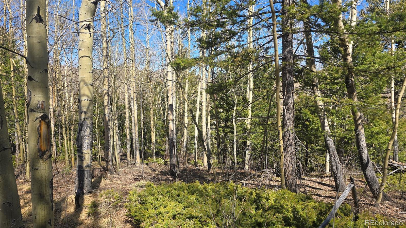 Lot 6708 Debbie Road Fort Garland, CO 81133 - Photo 11 of 28 Gallery Image 11