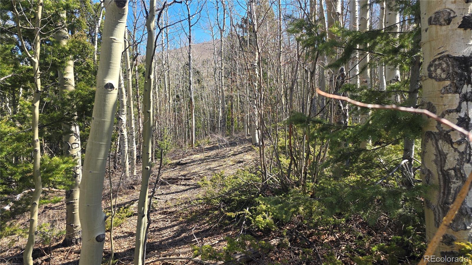 Lot 6708 Debbie Road Fort Garland, CO 81133 - Photo 12 of 28 Gallery Image 12
