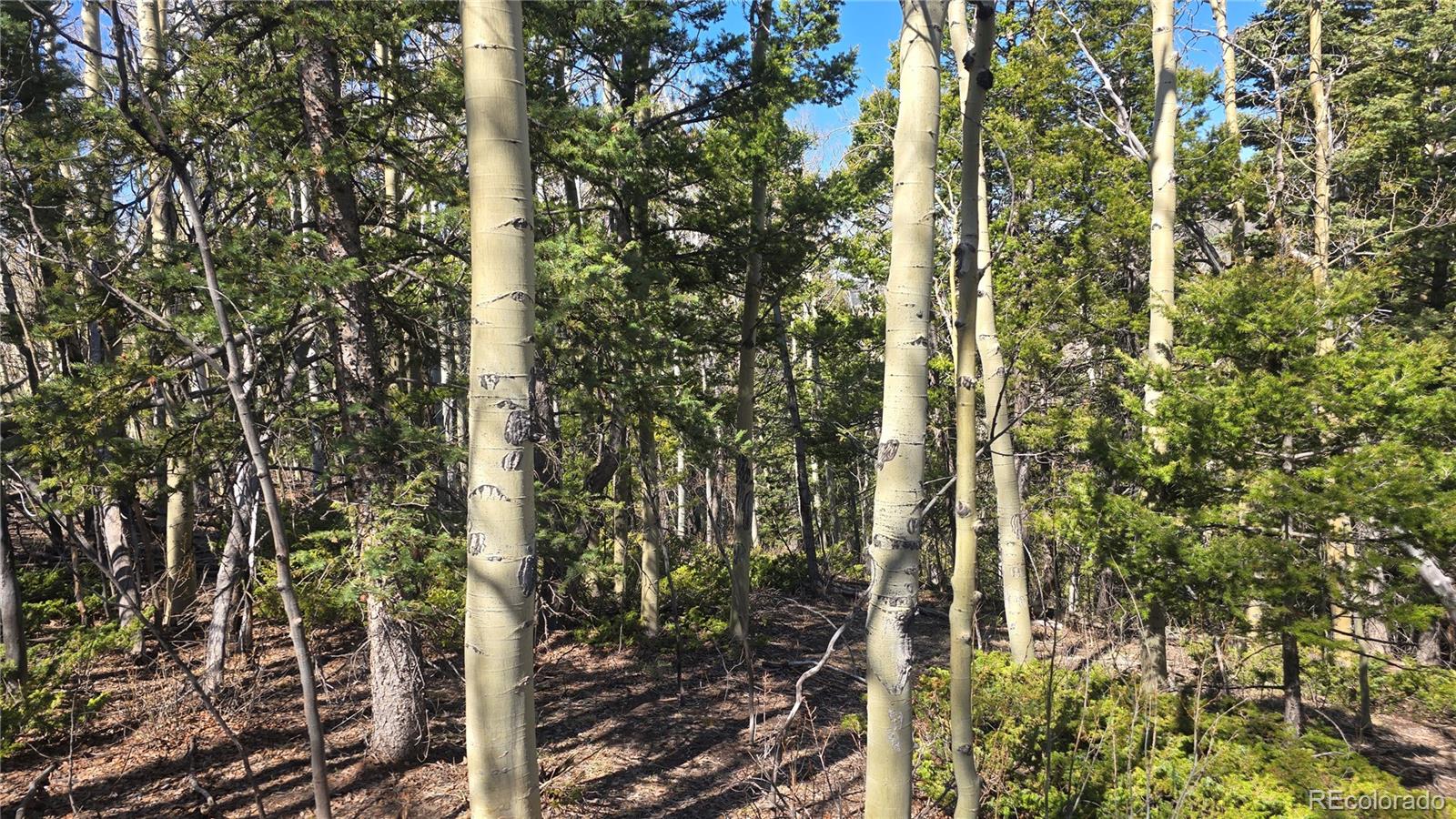 Lot 6708 Debbie Road Fort Garland, CO 81133 - Photo 13 of 28 Gallery Image 13