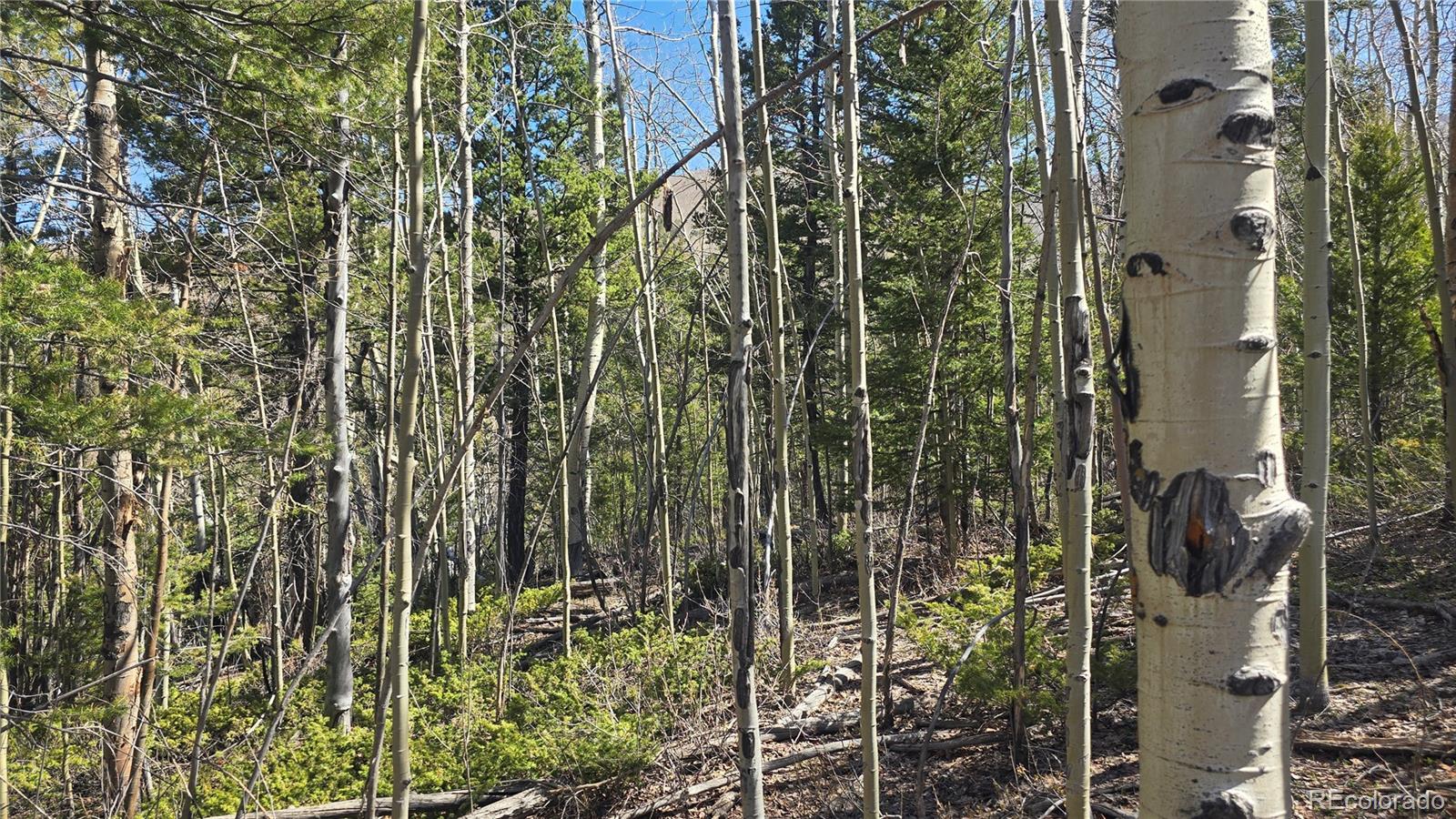 Lot 6708 Debbie Road Fort Garland, CO 81133 - Photo 15 of 28 Gallery Image 15