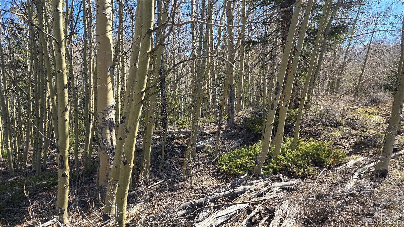 Lot 6708 Debbie Road Fort Garland, CO 81133 - Photo 17 of 28 Gallery Image 17