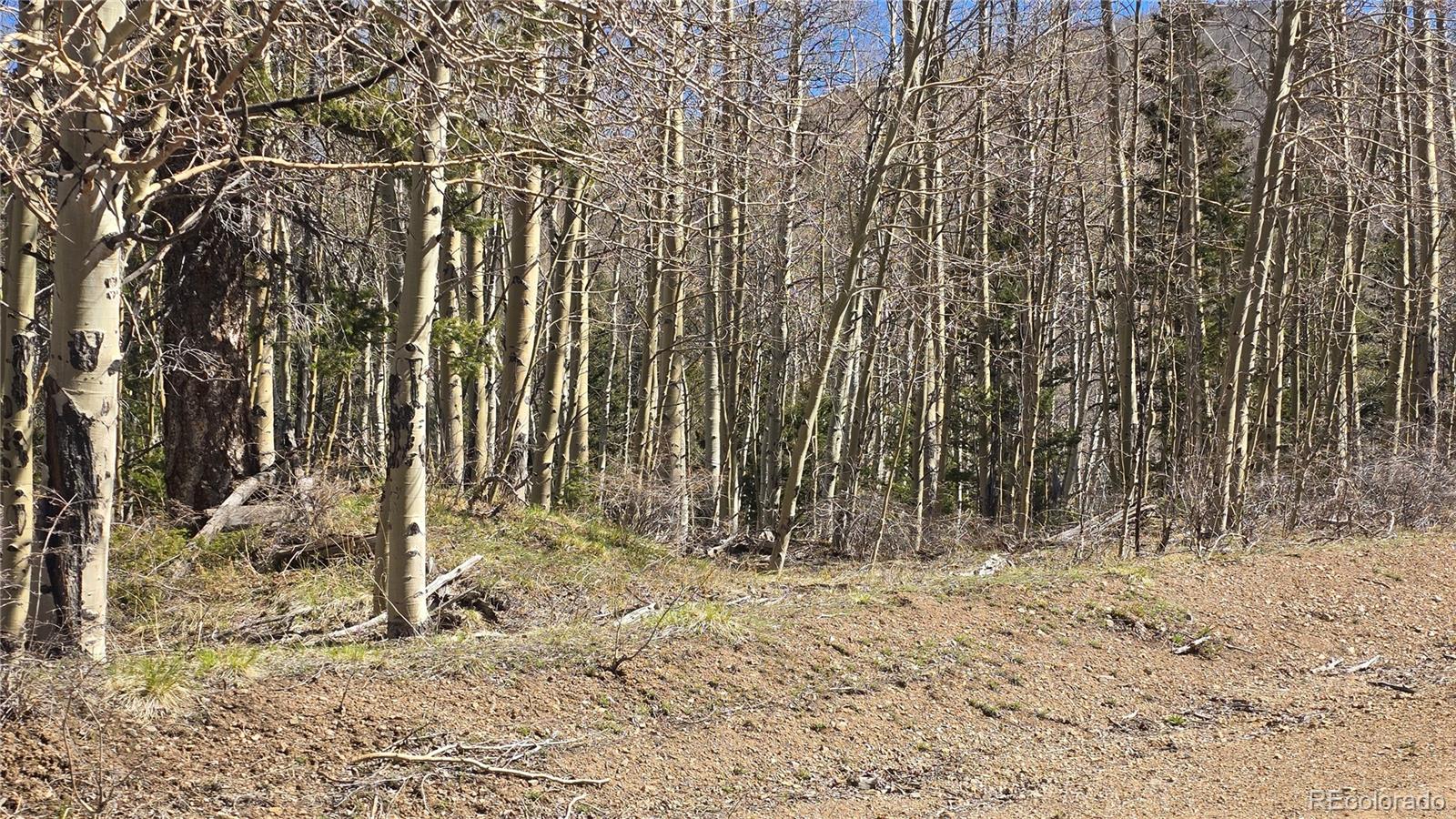 Lot 6708 Debbie Road Fort Garland, CO 81133 - Photo 19 of 28 Gallery Image 19