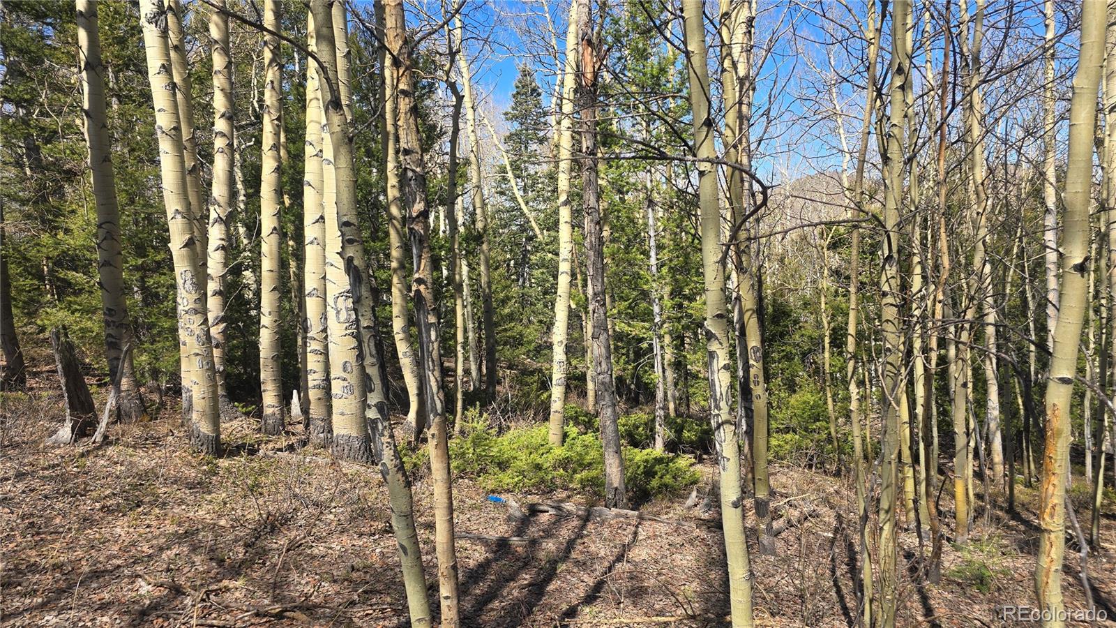 Lot 6708 Debbie Road Fort Garland, CO 81133 - Photo 20 of 28 Gallery Image 20