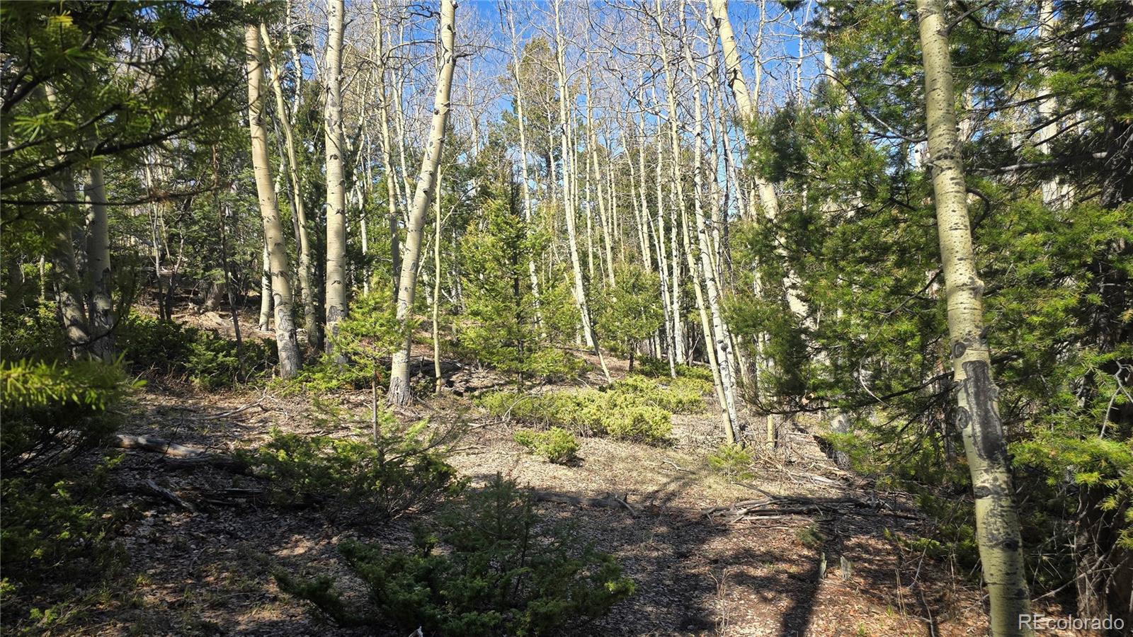 Lot 6708 Debbie Road Fort Garland, CO 81133 - Photo 22 of 28 Gallery Image 22