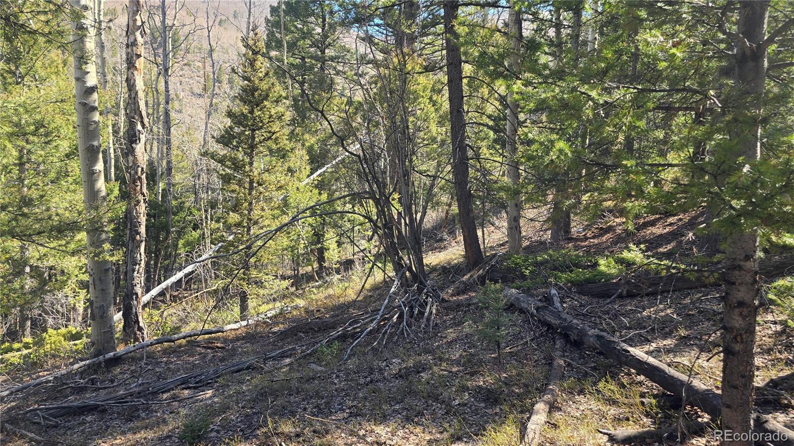 Lot 6708 Debbie Road Fort Garland, CO 81133 - Photo 23 of 28 Gallery Image 23