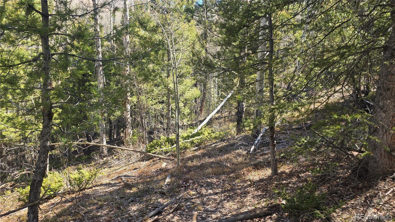 Lot 6708 Debbie Road Fort Garland, CO 81133 - Photo 25 of 28 Gallery Image 25