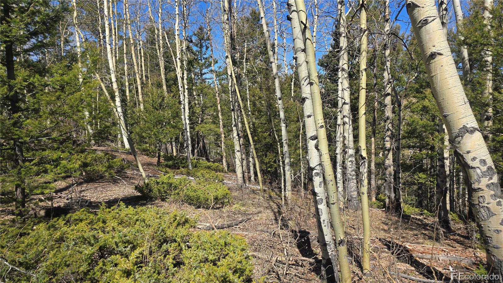 Lot 6708 Debbie Road Fort Garland, CO 81133 - Photo 26 of 28 Gallery Image 26