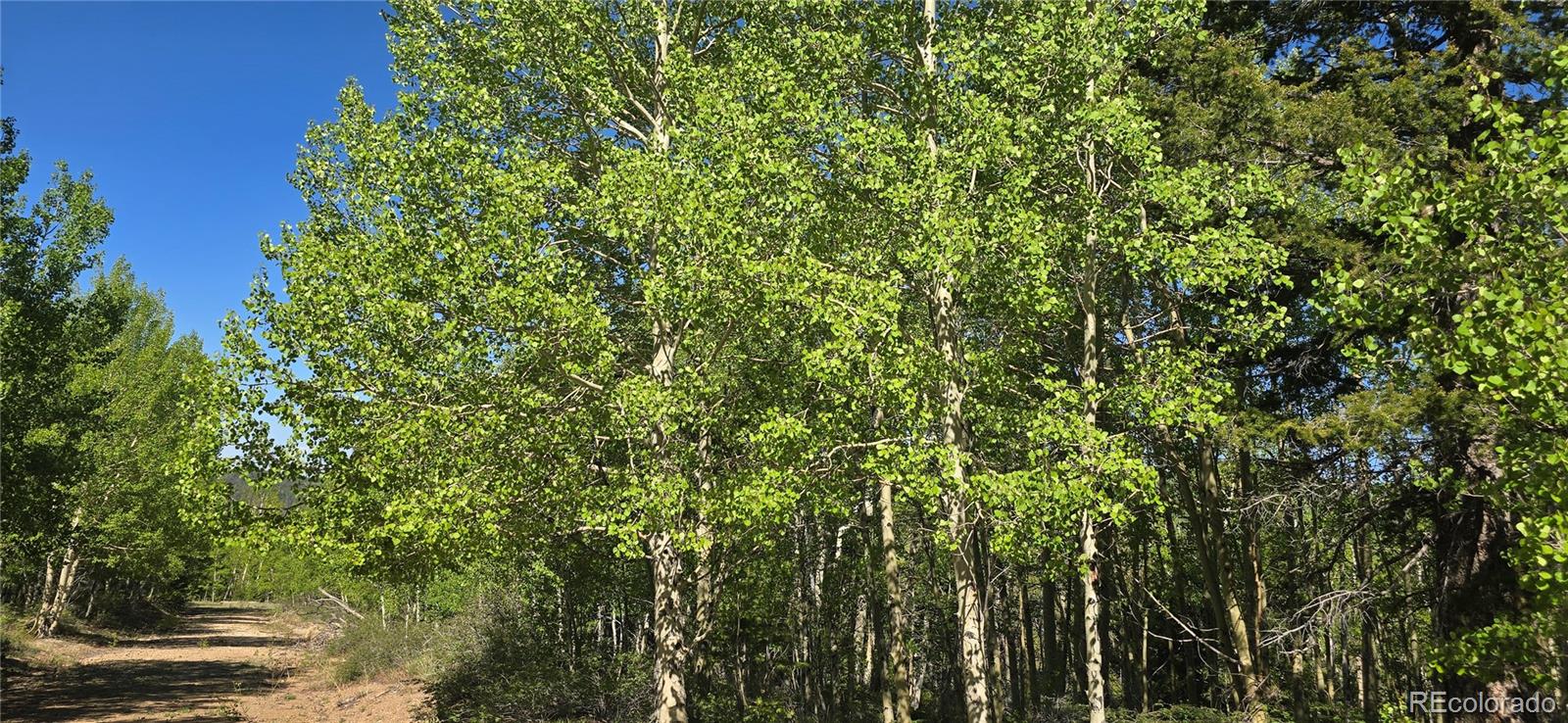 Lot 6708 Debbie Road Fort Garland, CO 81133 - Photo 4 of 28 Gallery Image 4