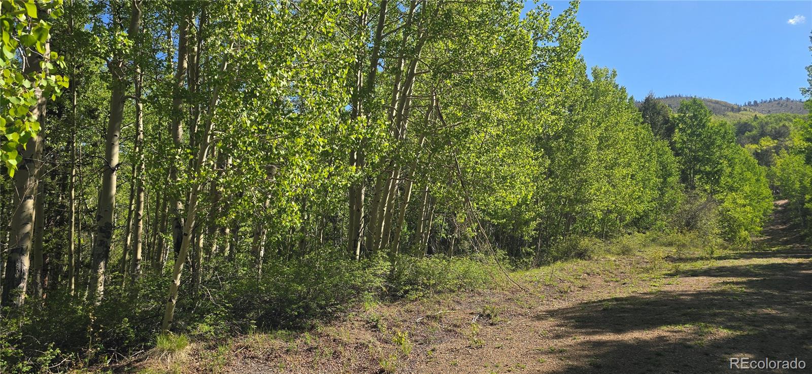 Lot 6708 Debbie Road Fort Garland, CO 81133 - Photo 5 of 28 Gallery Image 5