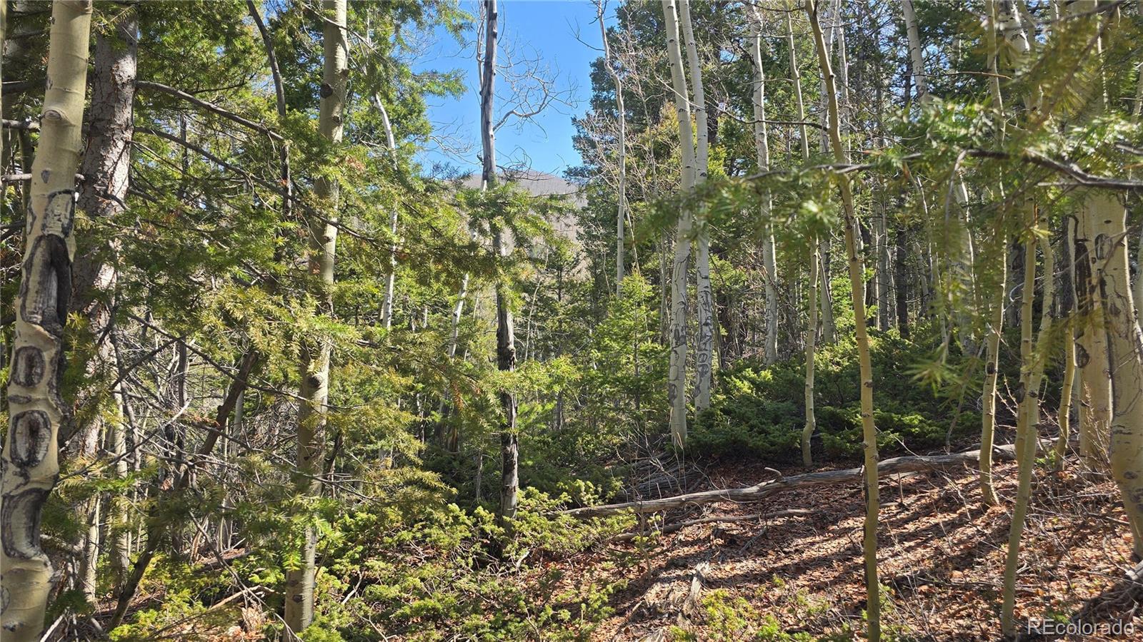 Lot 6708 Debbie Road Fort Garland, CO 81133 - Photo 7 of 28 Gallery Image 7
