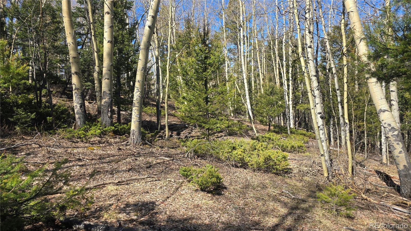 Lot 6708 Debbie Road Fort Garland, CO 81133 - Photo 9 of 28 Gallery Image 9