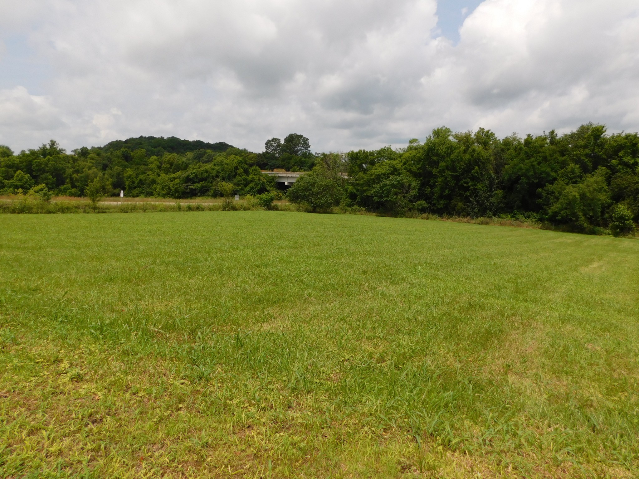 1694 Blue Moon Road Columbia, TN 38401 - Photo 3 of 4 a view of a big yard with plants and large trees