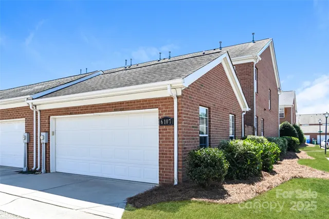 a view of backyard with large tree