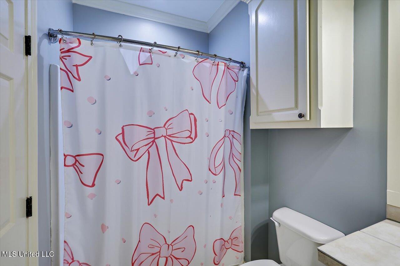 105 Victoria Place Madison, MS 39110 - Photo 39 of 47 Bathroom 4