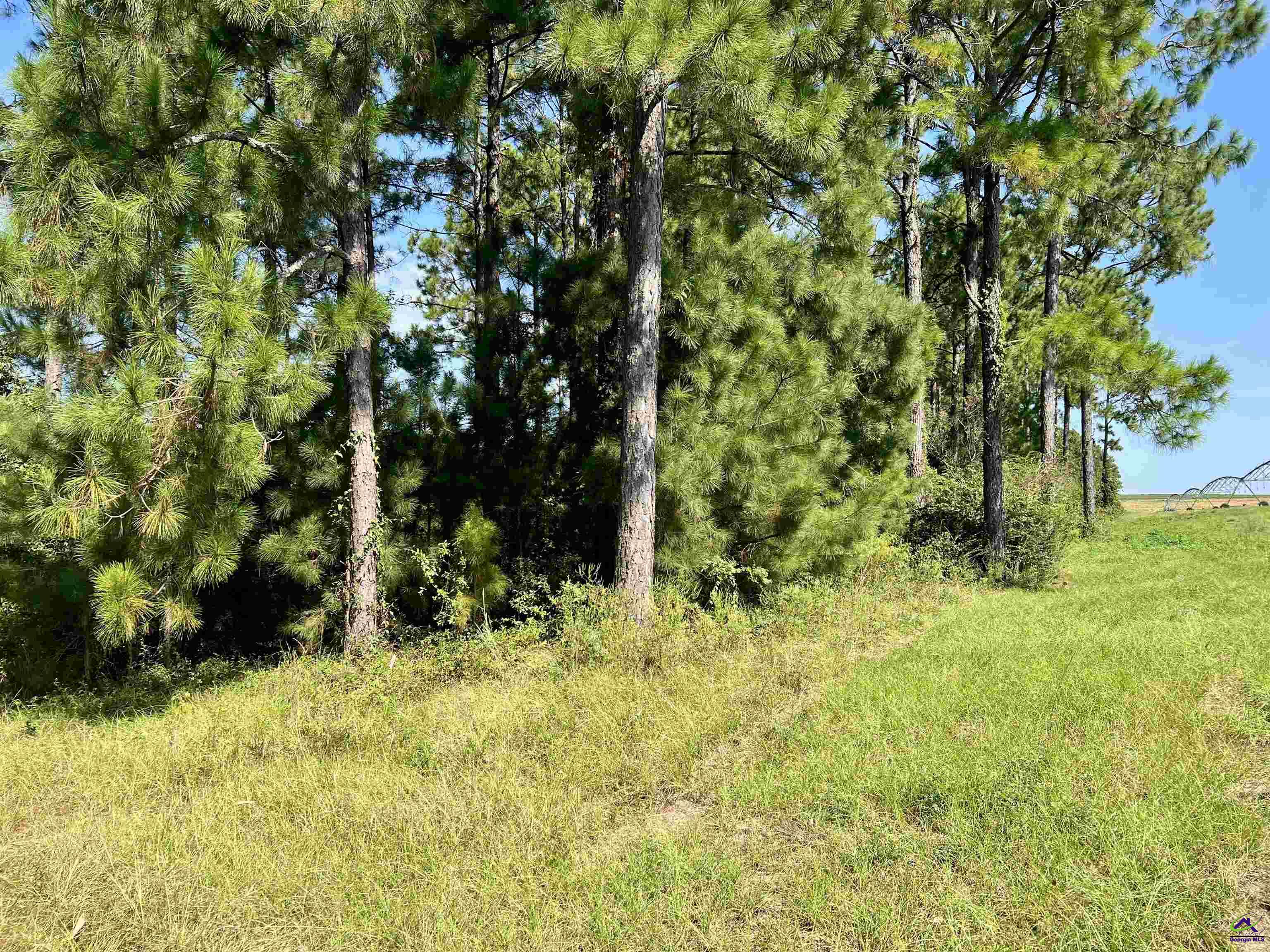 762 Nicholson-Carr Road Chester, GA 31012 - Photo 71 of 81
