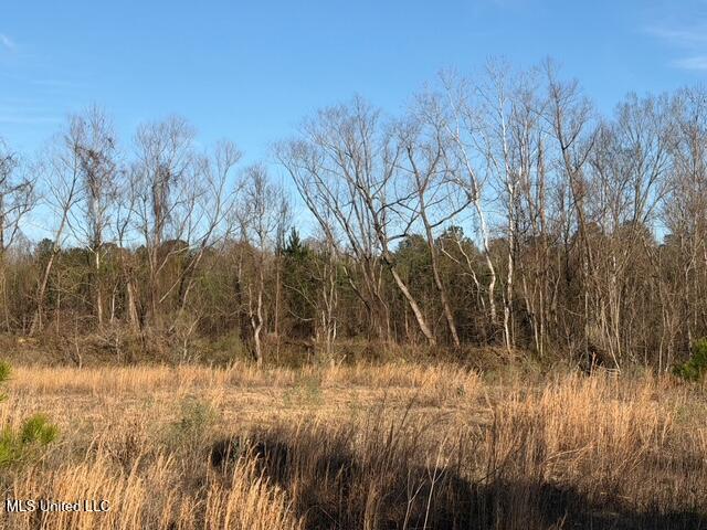 Raymond Road Jackson, MS 39212 - Photo 56 of 86 IMG_1061
