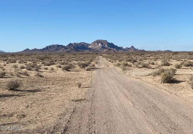 a view of a large lake with mountains in the background