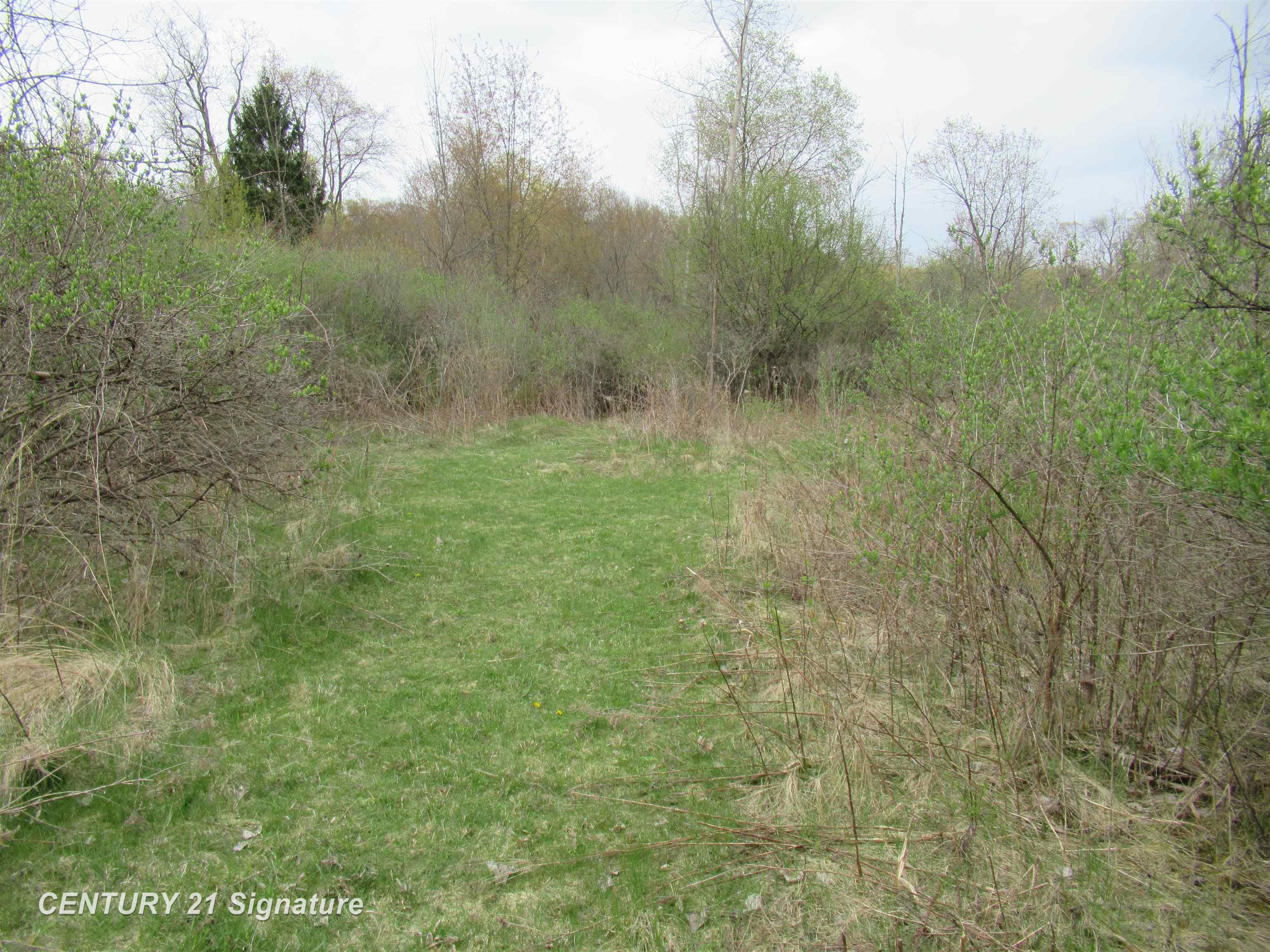 8292 Beecher Road Flushing, MI 48433 - Photo 46 of 54