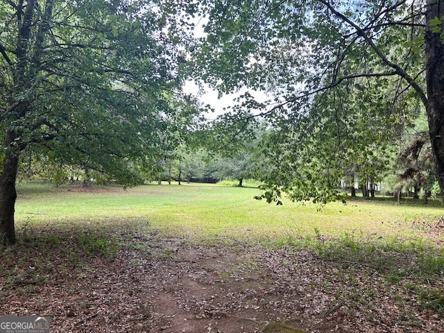 289 Covington Road Griffin, GA 30223 - Photo 1 of 1 a view of a yard with a tree