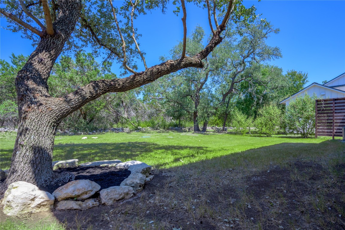 142 Volterra Lane Dripping Springs, TX 78620 - Photo 26 of 37 a view of a yard with a tree