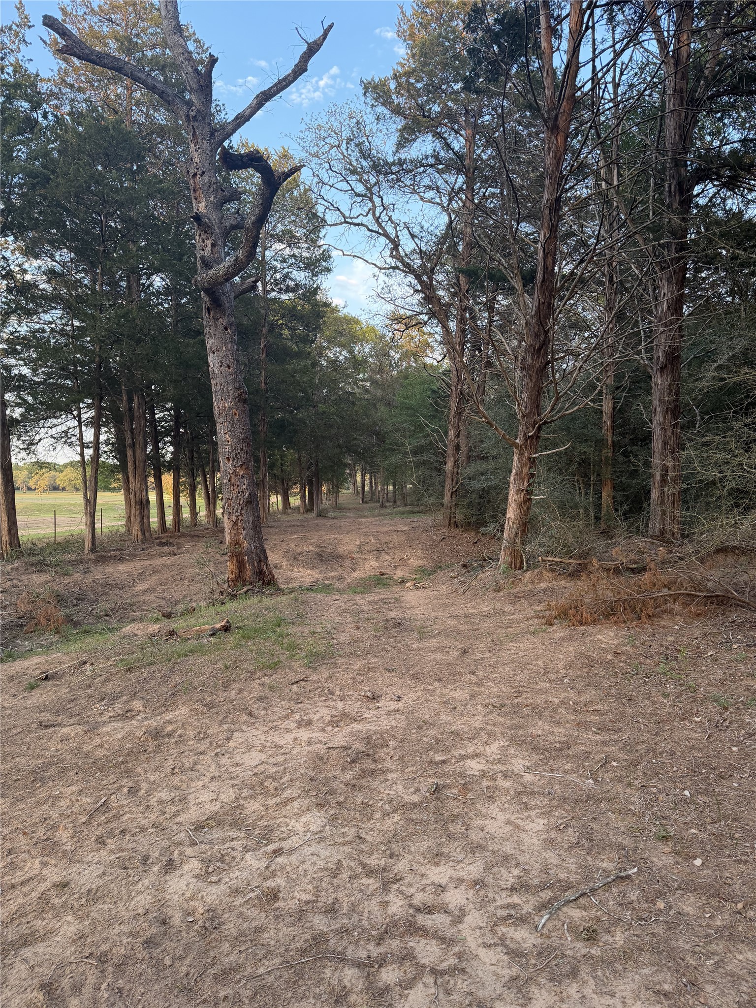 1743 Zimmerscheidt Road New Ulm, TX 78950 - Photo 13 of 13 a view of outdoor space with trees