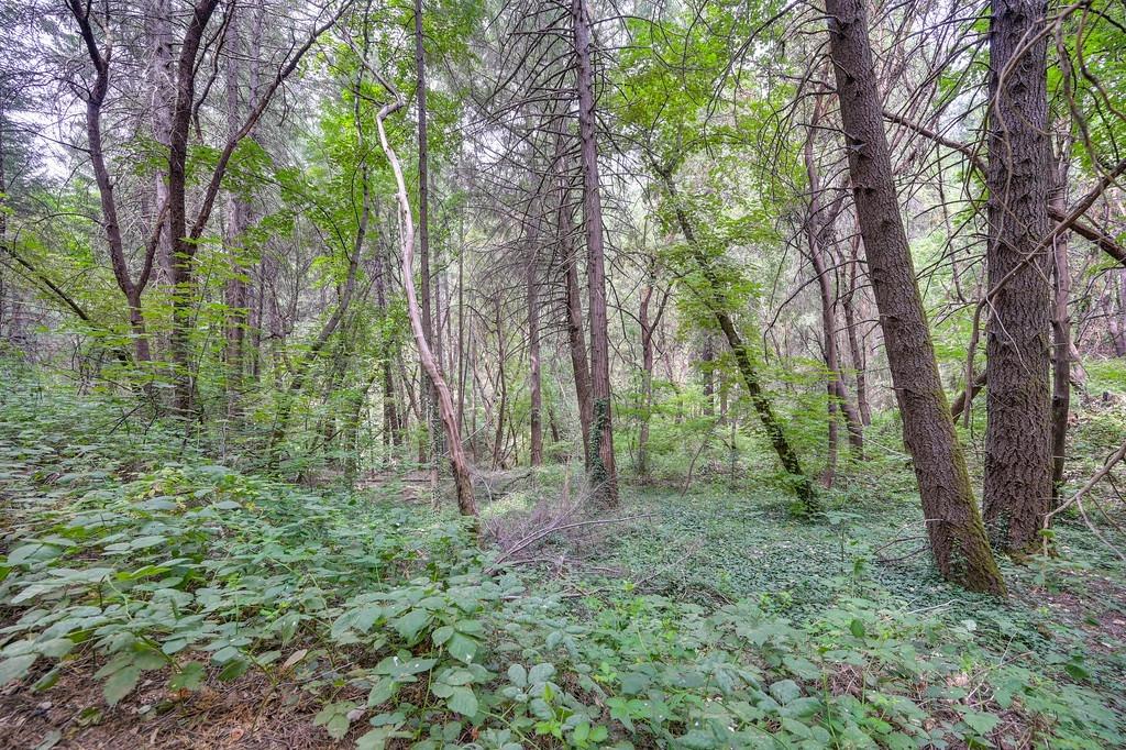 0 Marshall Road Georgetown, CA 95634 - Photo 8 of 15
