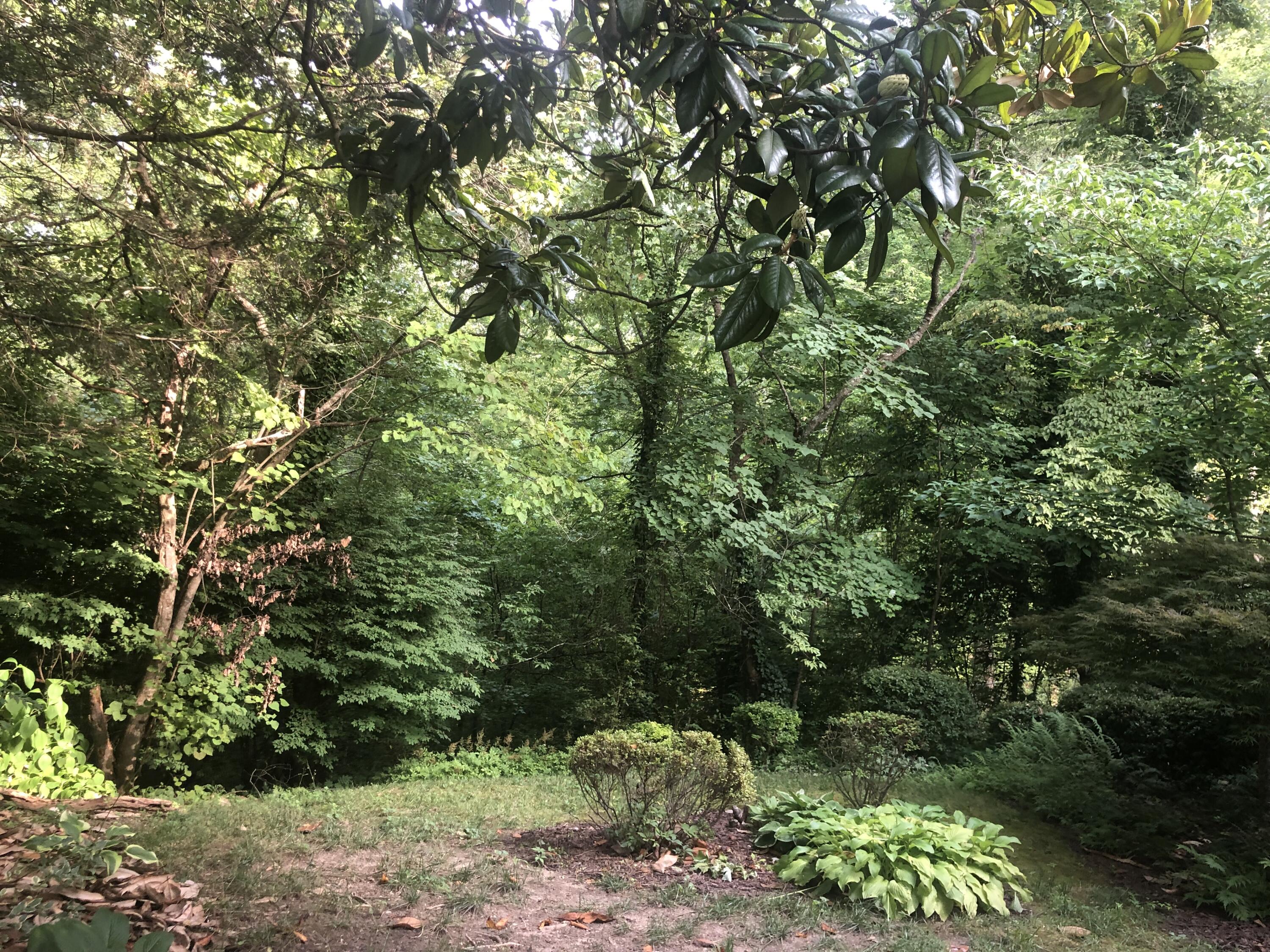 131 Clemson Drive Oak Ridge, TN 37830 - Photo 21 of 27 Back Yard (2)