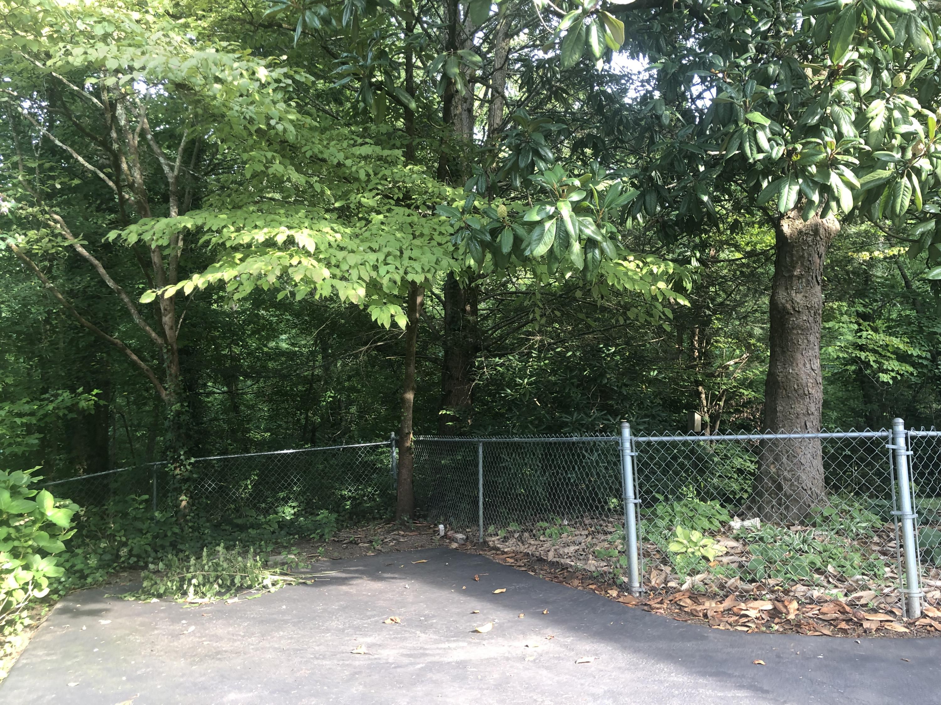131 Clemson Drive Oak Ridge, TN 37830 - Photo 23 of 27 Plenty of Parking