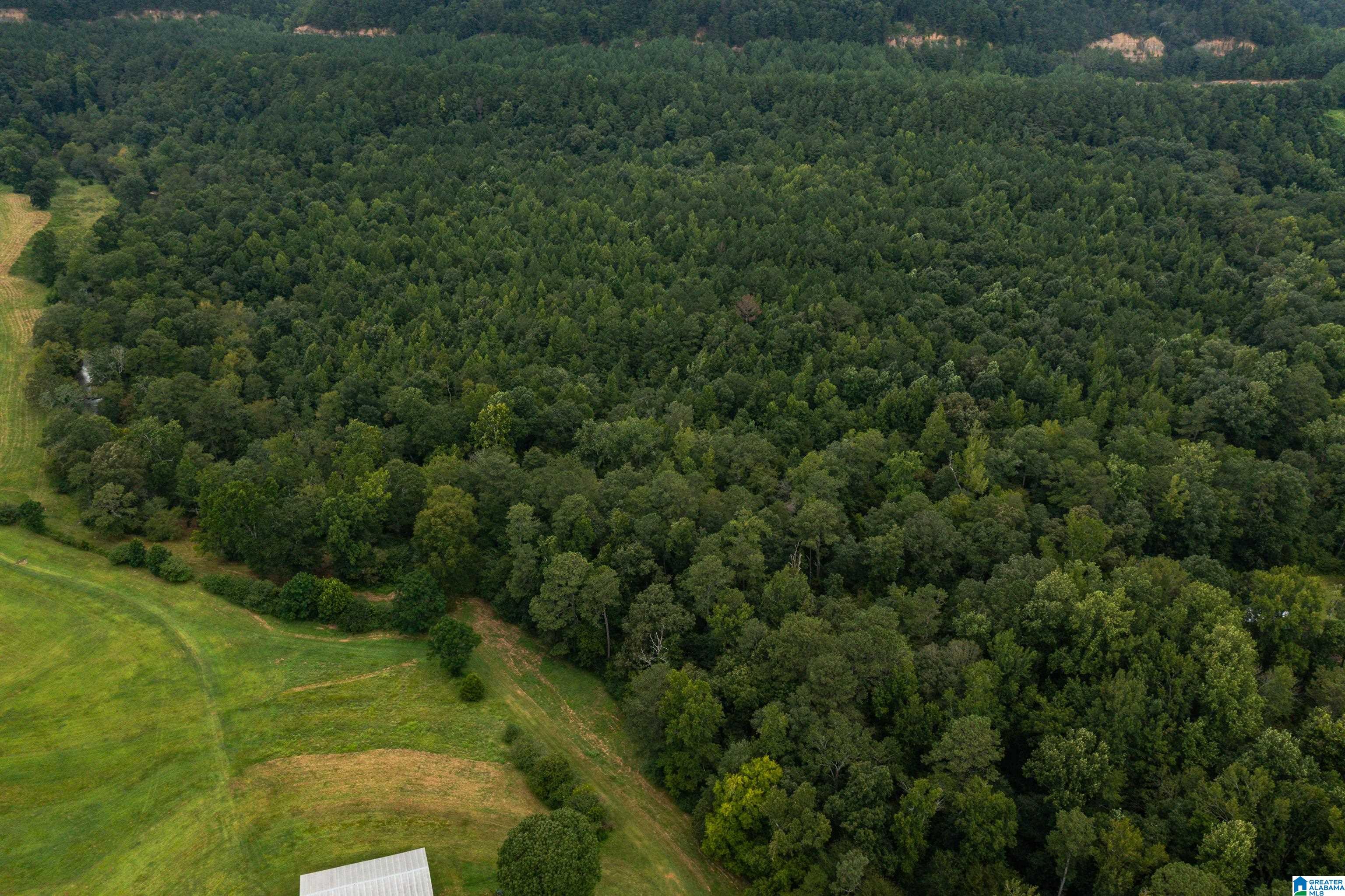 1218 Ebell Road Oneonta, AL 35121 - Photo 48 of 53