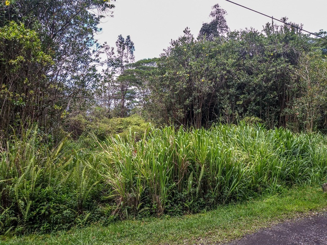 5809 Po'ouli Road Keaau, HI 96749 - Photo 11 of 13 Gallery Image 11