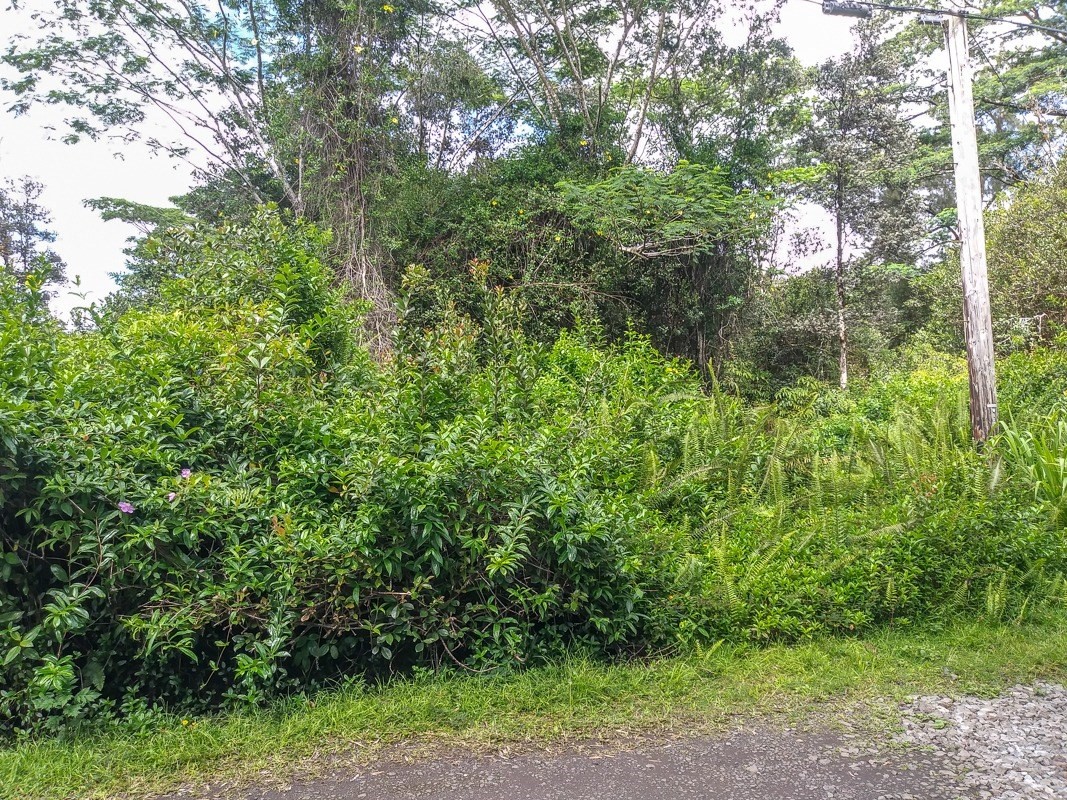 5809 Po'ouli Road Keaau, HI 96749 - Photo 8 of 13 Gallery Image 8
