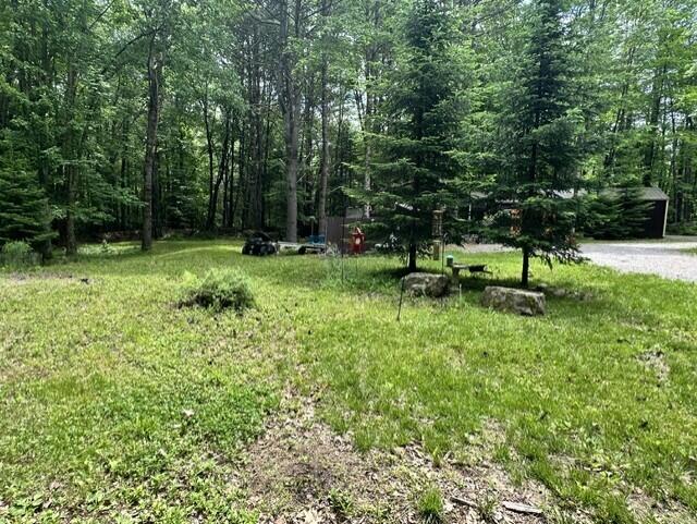 1196 Edes Falls Road Harrison, ME 04040 - Photo 20 of 22 Yard2
