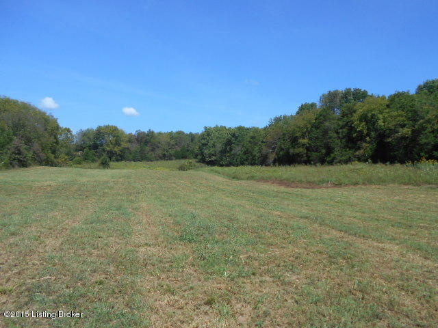0 Wimsatt Road Loretto, KY 40037 - Photo 10 of 15 DSCN0207