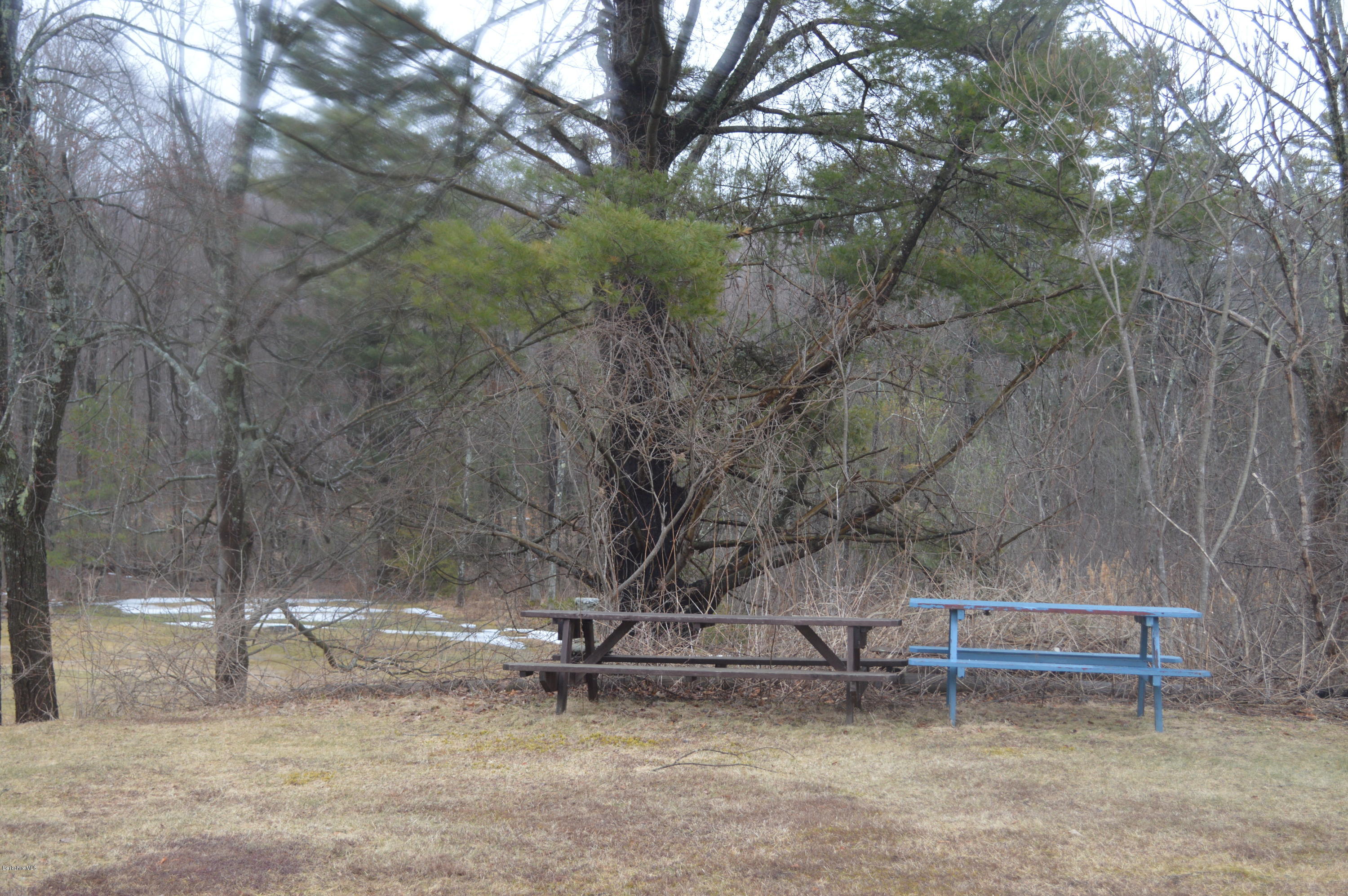 54 Holmes Road Lenox, MA 01240 - Photo 13 of 14 open back yard